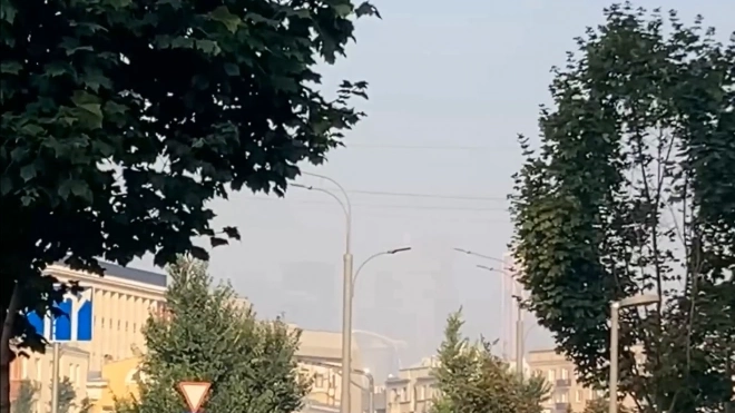 Метеоролог рассказал, когда из Москвы исчезнут смог и запах гари