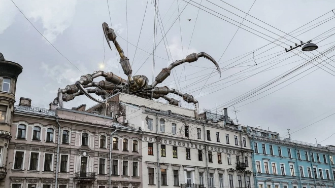 На крыше дома в центре Петербурга "заметили" огромного паука