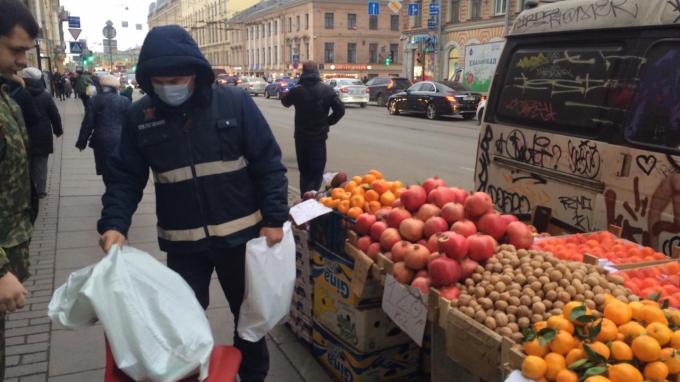 Сотрудники Смольного освободили около 40 незаконно занимаемых участков