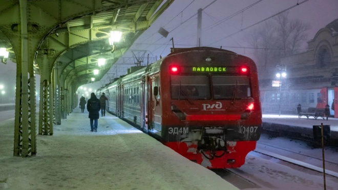 Стоимость Единого комбинированного билета ЕКБ-5 Павловск снизится с 1 февраля 2023 года