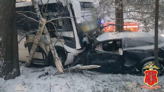 Один человек погиб и четверо пострадали в ДТП с рейсовым автобусом в Ленобласти 