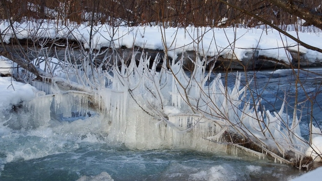 На форелевой ферме у Медного озера нашли вмерзшее в лед тело