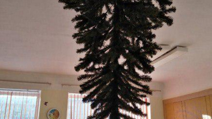В Омском детском садике прибили новогоднюю ель к потолку