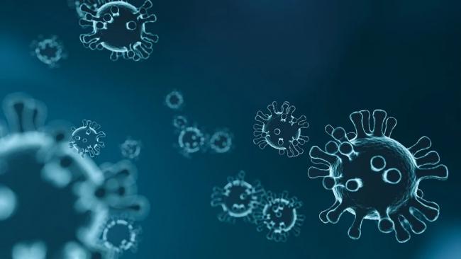 Гинцбург заявил об отсутствии антител у 20% переболевших коронавирусом