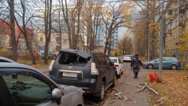 В Петербурге штормовой ветер остановил судоходство и повалил деревья