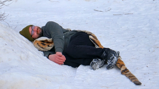 В Ленинградском зоопарке ловили сбежавшего "тигра"