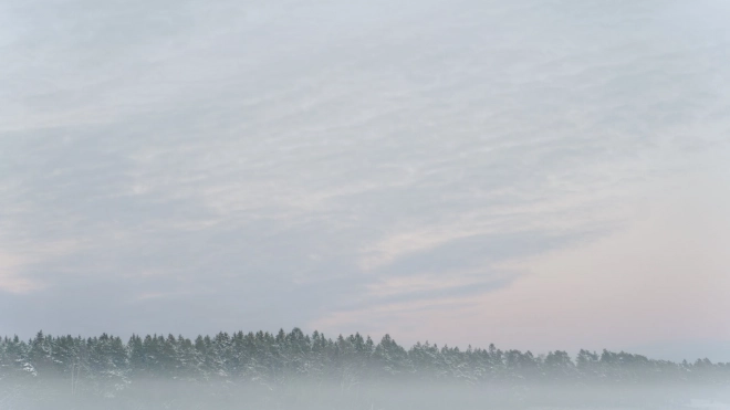 В Ленобласти в четверг ожидается туман