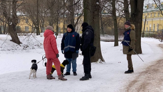 11 протоколов в отношении собачников составили по итогам рейда в Таврическом саду