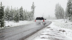 Жителям Ленобласти пообещали мокрый снег и сильный ветер 20 января 