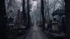 Эксперты: похороны в России станут госуслугой
