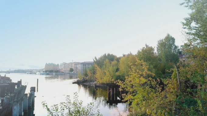 В Петербурге оказался под угрозой срыва проект строительства дороги на месте парка 