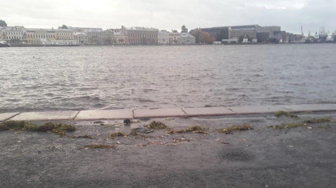 Уровень воды в Неве поднялся до  критических отметок