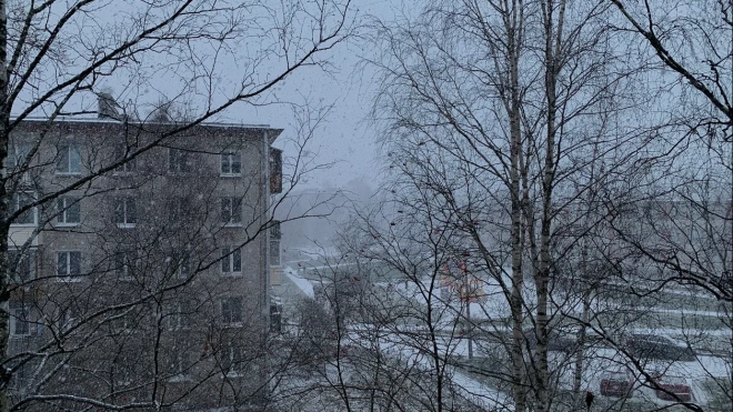 МЧС: днём 24 декабря в Ленобласти ожидается сильный снегопад