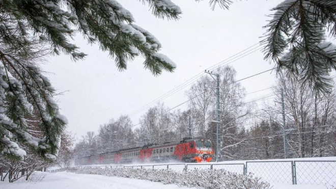 Стоимость проезда на электричках в Ленобласти поднимут с 1 января