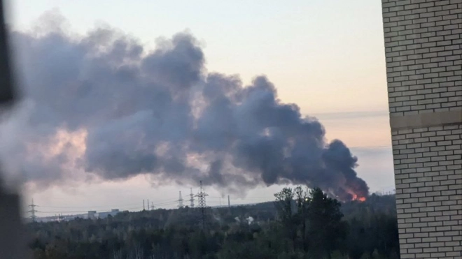 В Колпинском районе полыхал склад