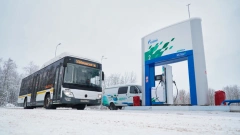 Транспортные парки Ленобласти получат современные автобусы  