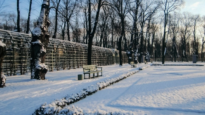 Петербуржцы смогут посетить экскурсии по Летнему и Михайловскому садам, посвящённые снятию блокады Ленинграда