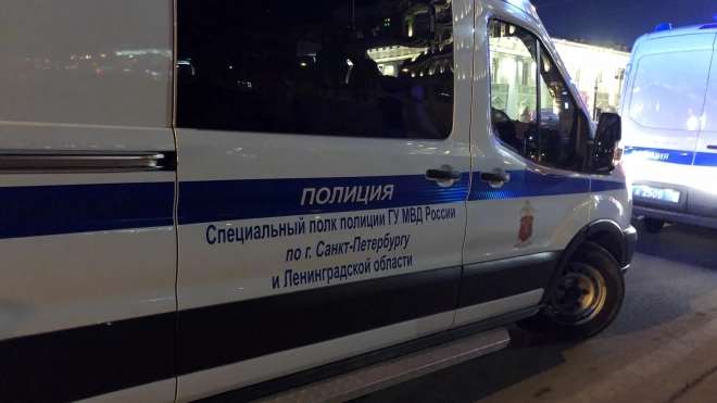 В новогоднюю ночь петербургская полиция задержала более 3 тыс. иностранных граждан