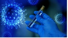 В Китае заявили о крайне низкой вероятности лабораторного происхождения коронавируса