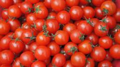 Россельхознадзор частично снял эмбарго на импорт томатов из Азербайджана