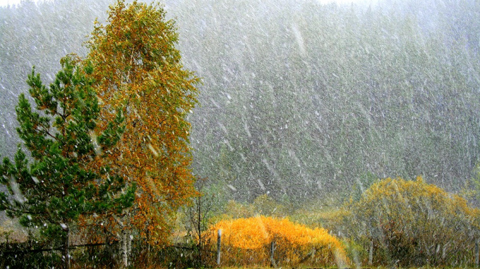 МЧС: в пятницу по Петербургу пройдет ливень со снегом 