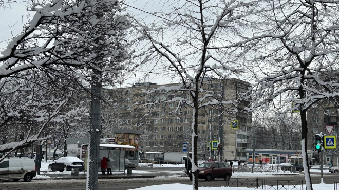 В Петербурге опекунов инвалидов с детства освободят от транспортного налога 