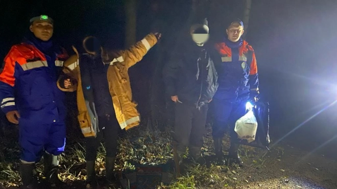 В Ленобласти в лесах нашли четыре заблудившихся человека