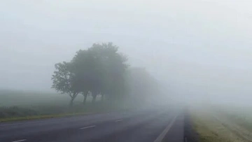 14 октября Петербург накроет туман