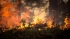 Более 4 тыс. пожаров охватили территорию Ленобласти с начала опасного сезона
