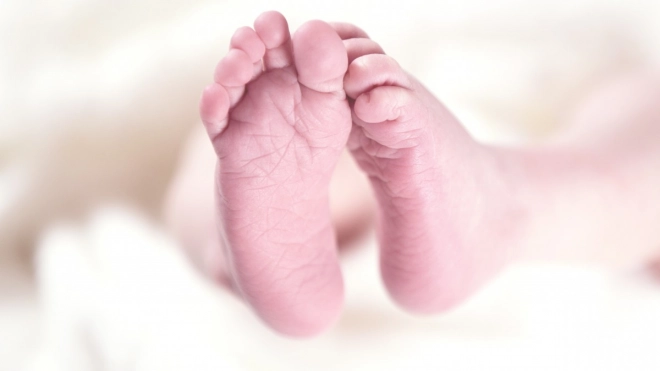 Депутаты ЗакСа поддержали в первом чтении законопроект о подарках для новорожденных