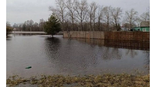 Уровень воды в реке Тихвинского района приблизился к опасной отметке