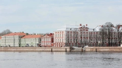 Первокурсниками петербургских государственных вузов стало 28 тысяч 650 человек