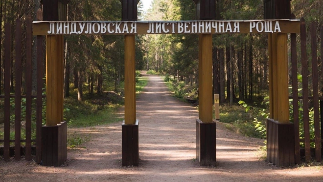 В "Линдуловской роще" пройдет бесплатная экскурсия 16 мая