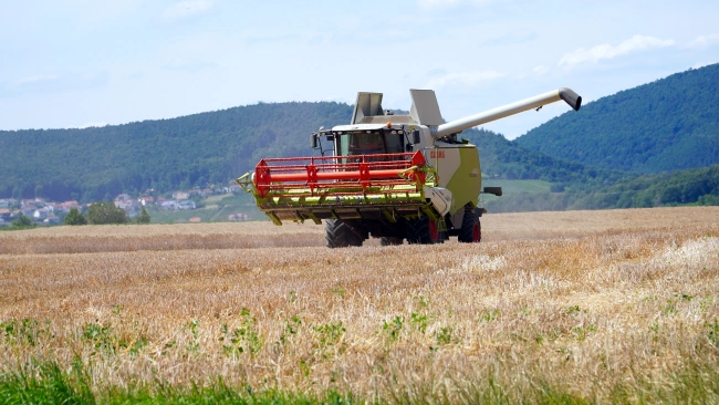 Минсельхоз: Россия к 2025 году нарастит производство картофеля и "борщевого набора" на 10% 
