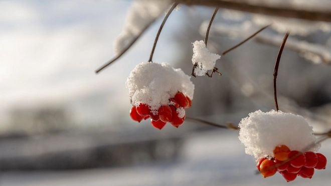 Антициклон из Скандинавии сохранит морозную погоду в Петербурге 8 февраля