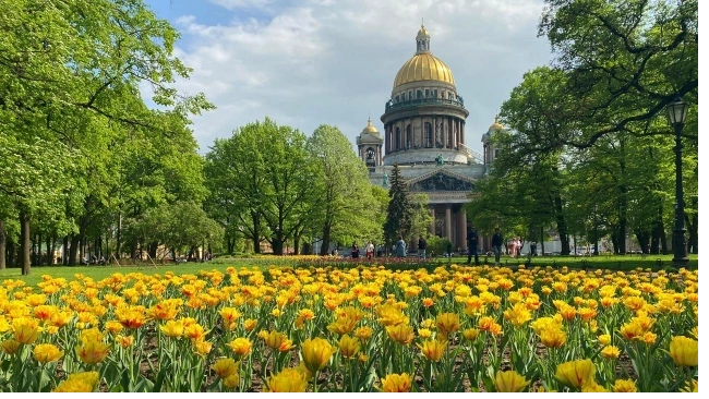 Садовники начали разрабатывать проекты цветочного оформления Петербурга в 2022 году