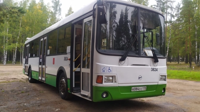 Около 450 новых автобусов выйдут на дороги Ленобласти в 2024 году