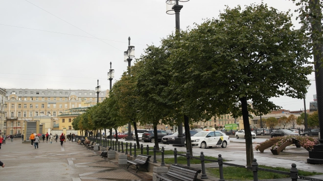 В Петербурге 31 августа температурный фон окажется на 7-8 градусов ниже средних значений