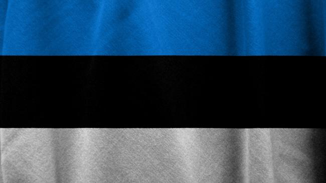 Президент Эстонии выступила за продолжение диалога с Россией