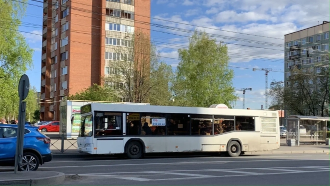 В общественном транспорте Луги сохранят льготный проезд