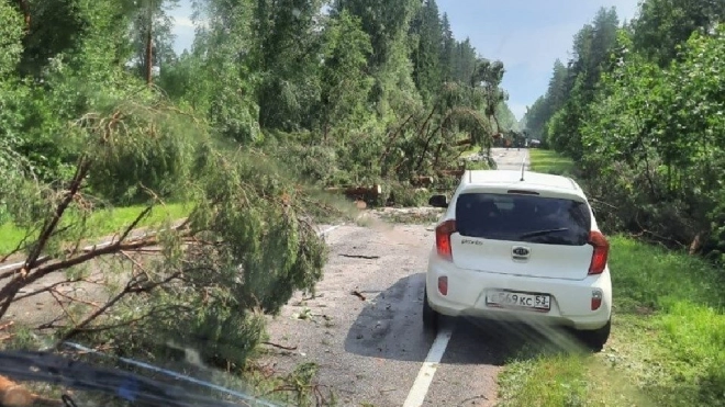 Прошедший шторм оставил без света почти 20 населенных пунктов Ленобласти 