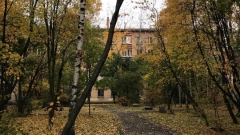 "Бабье лето" отменяется: в Петербурге прогнозируют самый холодный сентябрь за последние 13 лет