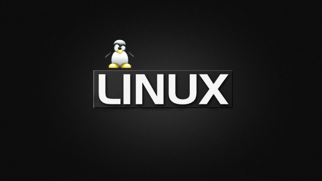 В России к 2025 году могут перейти на Linux