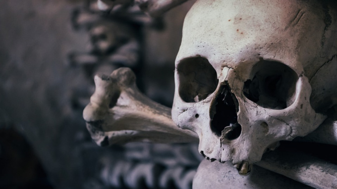 Дети нашли человеческий череп с костями в Кронштадте