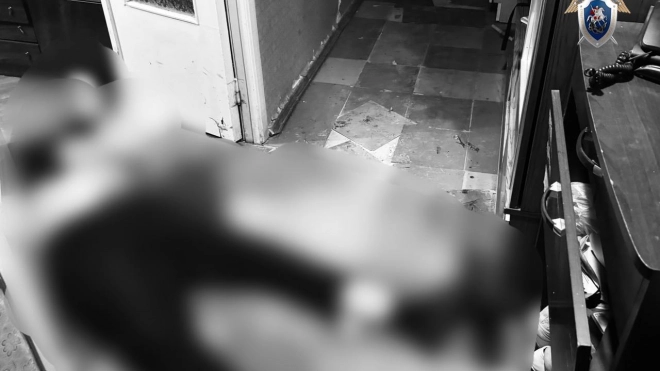 Петербуржец задержан по подозрению в убийстве собственного брата