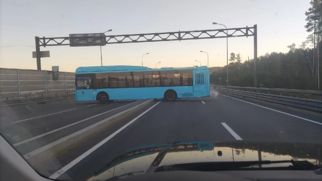 Петербуржцы назвали позором ДТП с застрявшим на парапете автобусом