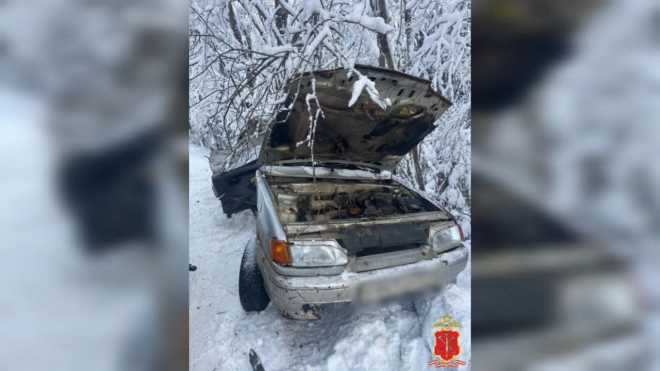 На трассе в Киришском районе в ДТП погиб 39-летний мужчина