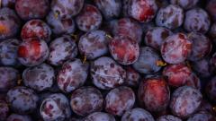 Аграрии России в 2020 г. собрали рекордный урожай ягод и плодов – 3,6 млн тонн
