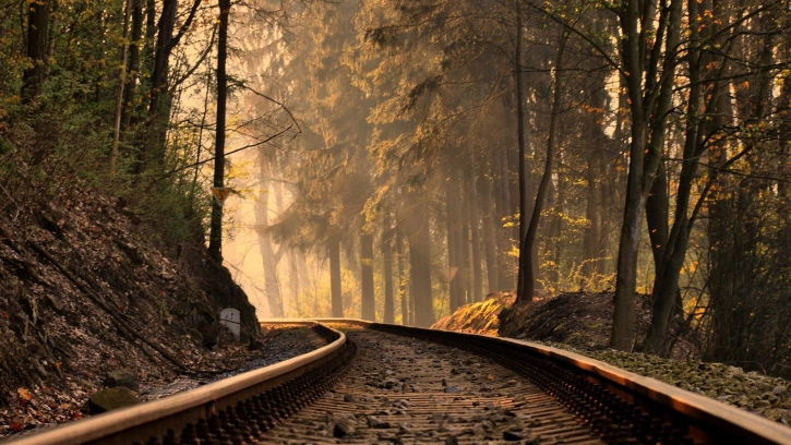 В Генплан Петербурга планируют добавить объекты железной дороги и городские леса
