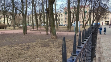 Из-за штора в Петербурге закрыли сады и скверы